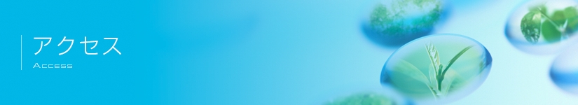 アクセス